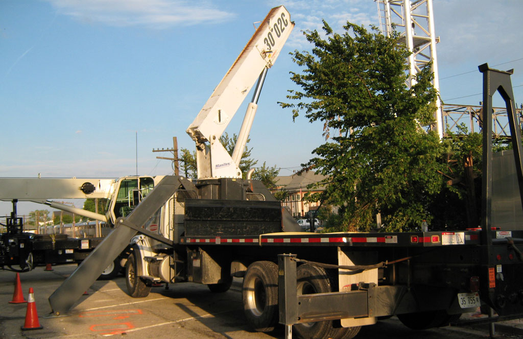 Insurance services crane